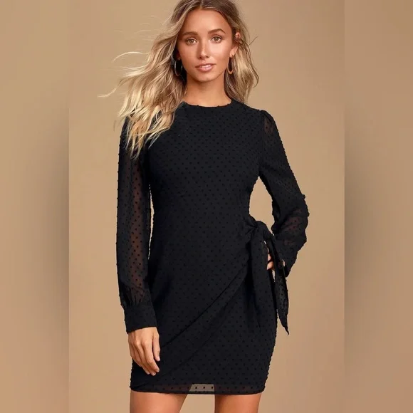 Black Swiss Dot Long Sleeve Tie-Front Mini Dress | Womens | Small | 100% Polyester | Lulus